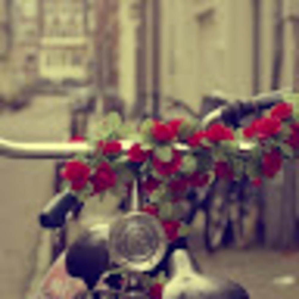 Meet your Posher, Gabrielle